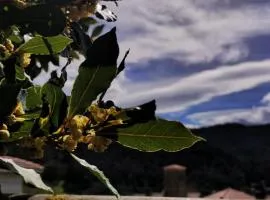 Habitaciones con encanto en Ilurdoz