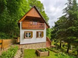 Cozy Modern Cottage by the Forest