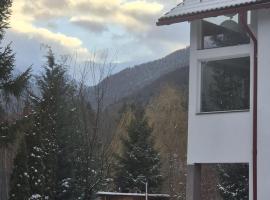 Vila Roberta Breaza ,Brașov situata la 10 km de Sâmbăta de Sus și la 35 km de Transfăgărășan，位于Breaza的酒店