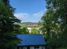 Ferienwohnung Haus am Wald