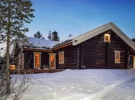 Pet Friendly Home In Hemsedal With Sauna