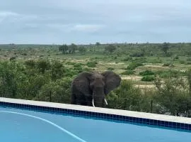 Horizons River Lodge Mjejane