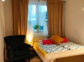 ViLLA IVET