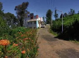 The Wild Wanderer Forest Cottage stay