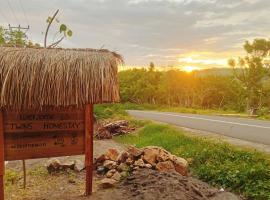 Twins Homestay ekas，位于Pulau Gilkaliantan的酒店