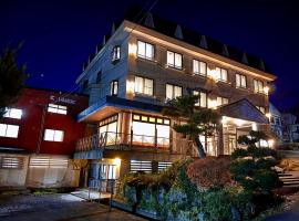 戸狩野沢スノーパークプラザSnow Park Plaza，位于饭山市的酒店