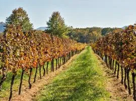 Afton Mountain Vineyard