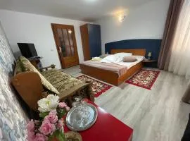 Casa Elena Bran camera dubla cu balcon