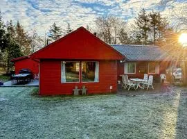 Pet Friendly Home In Ringkøbing With Wifi