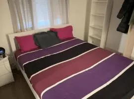 Apparemment T1 cosy