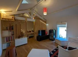 Location saisonnière avec terrasse privée, WIFI, animaux admis, recharge électrique à Rivières - FR-1-653-275