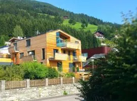 alp-partements