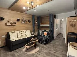 Studio cosy 5 personnes aux pieds des pistes.