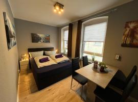 Stadtnah an der Förde 7 DG GR，位于弗伦斯堡的酒店