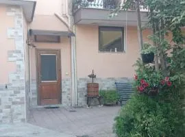 Casa David