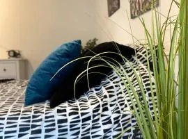 Studio Chaleureux Tout équipé - Wifi - Parking gratuit - Proche de la Nature