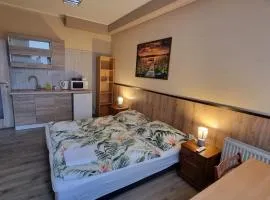 Apartmán 1 Hradná 9