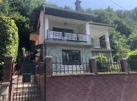 Kral Villa