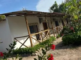 Zanzllywood Uroa Beach Apartments