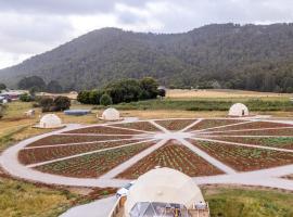 Mount Gnomon Farm，位于彭古因的酒店