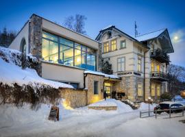 Residence Vyhlídka，位于扬斯凯拉兹涅的酒店