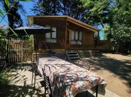 Cabaña Valle del Elqui, La Campana