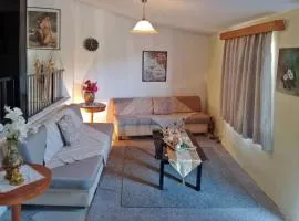 Παραδοσιακό σπιτι frozen