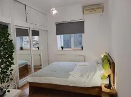 Cozy Apartments Street Lipscani