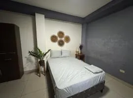 Macaw Stay Room
