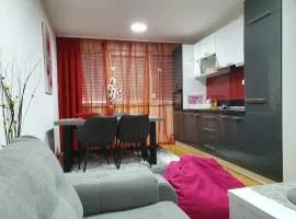Apartment Ema with garage