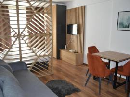 A 14 President Kopaonik，位于Raška的酒店