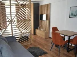 A 14 President Kopaonik