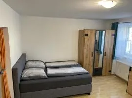 Traunkai Apartments - Zimnitz Blick