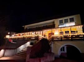 Austria Traveller Hotel Lenzing，位于Lenzing的酒店