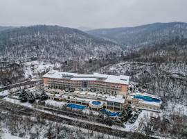 Thermal Hotel Visegrád，位于维谢格拉德的酒店