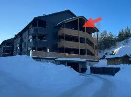Koselig leilighet med et skritt unna skibakken!