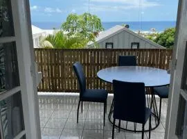 Au paradis de Mina