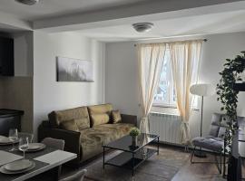 Weg City Apartmani，位于布尔泽策的酒店