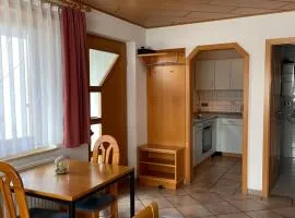 Ferienwohnung im Herzen Schönach