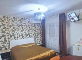 Apartament Vintage