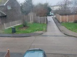 Basildon House of Muralist