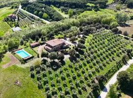 Agriturismo Il Gonzeto, Montepulciano
