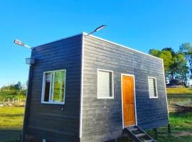 Tiny estrella sur y tinaja