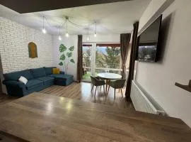 4 Seasons Apartment Sinaia