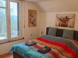 Wohlfühloase Schleiden Haus Talblick mit Whirlpool Kamin Aussicht 10 Personen