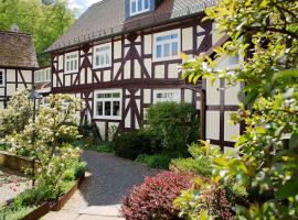 Hotel Dammühle，位于兰河畔马尔堡的酒店