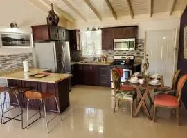 Villa Island