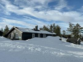 Modern Cabin With A Great Location On Blefjell，位于兰帕兰德的酒店