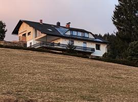 Ferienwohnung Reich，位于Hirschegg Rein的酒店
