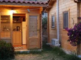 Petrakis Aris Beach Apartments Log Cabin No1